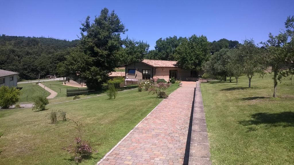 Agriturismo Monte Dell'Olmo Trevignano Romano Ngoại thất bức ảnh